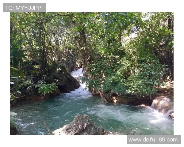 足球明星与女明星的完美壁纸合集让你领略不同风采的魅力与激情 足球明星与女明星的完美壁纸合集让你领略不同风采的魅力与激情