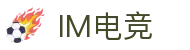 IM(股份有限公司)电竞-电子竞技平台