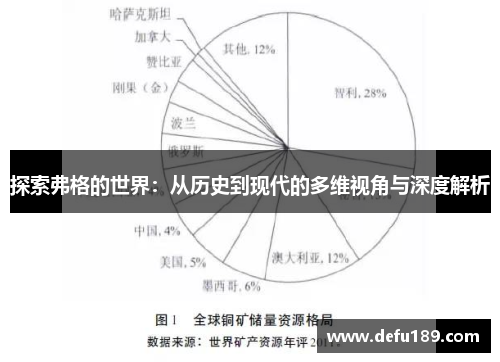 探索弗格的世界：从历史到现代的多维视角与深度解析
